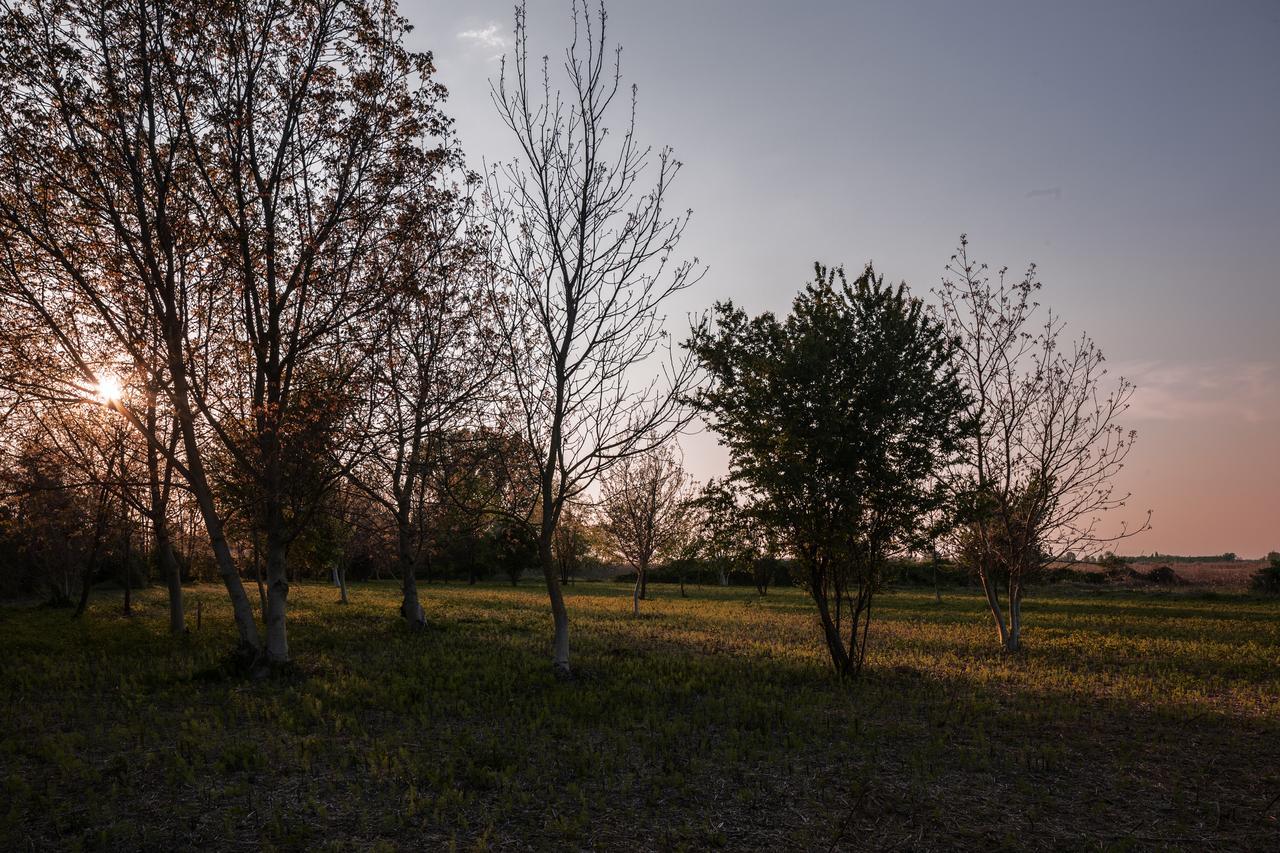 Ostello Cascina La Goliarda Curtatone Esterno foto